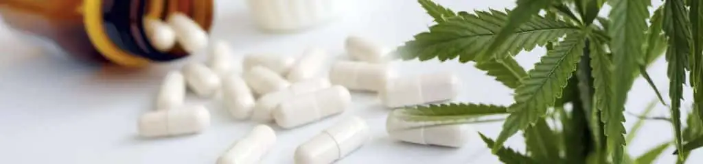 What Are The Effects Of Edibles And Antibiotics | What You Need To Know | The Seed Fair