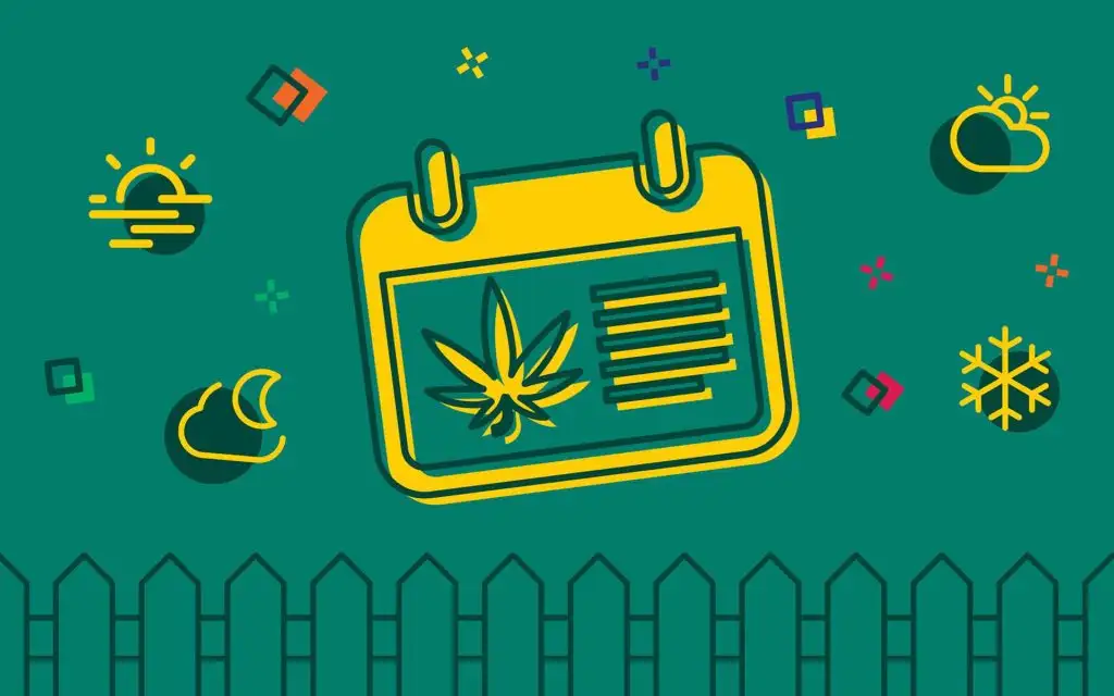 What Are The Ideal Weed Seasons For Growing | Our Guide On Growing Weed | The Seed Fair