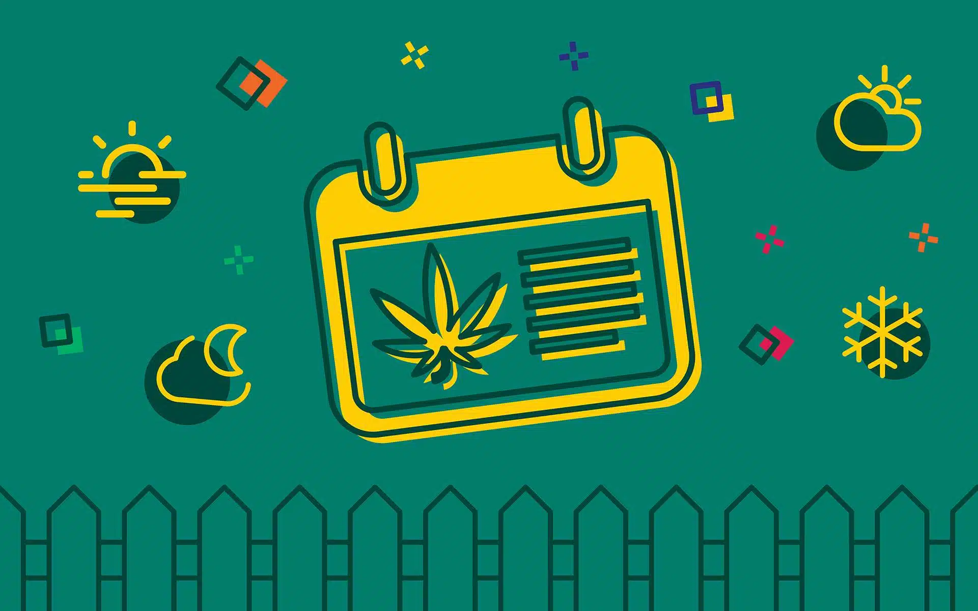 What Are The Ideal Weed Seasons For Growing | Our Guide On Growing Weed | The Seed Fair