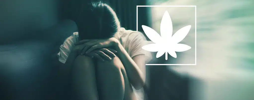 What Does Greened Out Mean | Our Guide To Growing | The Seed Fair