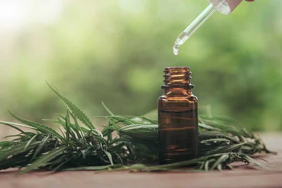 When To Take CBD Oil For Sleep | The Seed Fair Guide | The Seed Fair