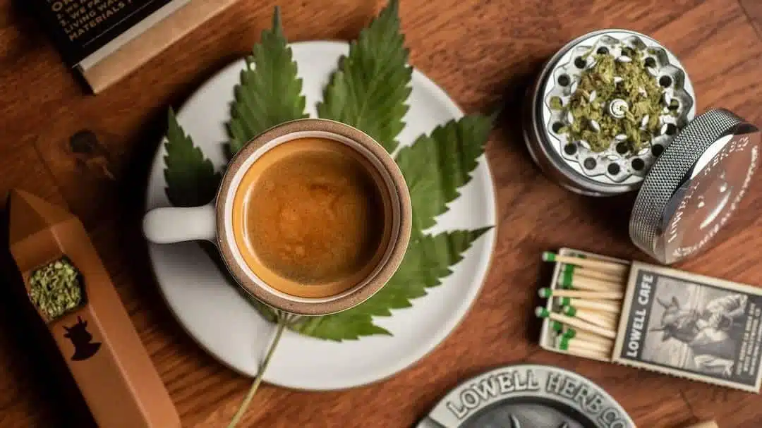 7 Best Cannabis Restaurants in Los Angeles, CA | The Seed Fair