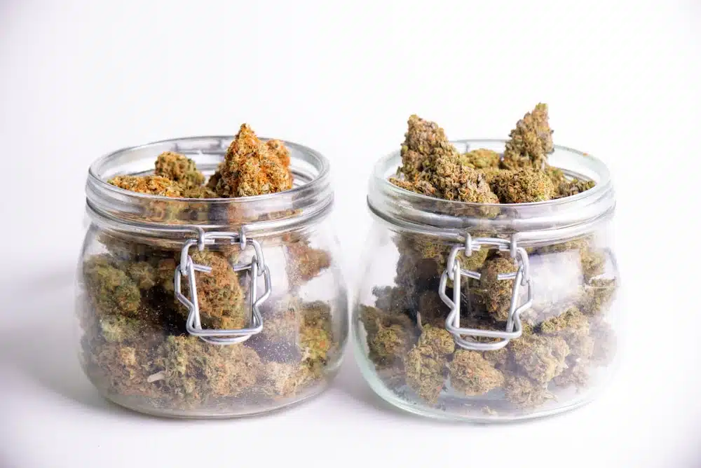 buds stored in mason jars to enhance the flavor of weed
